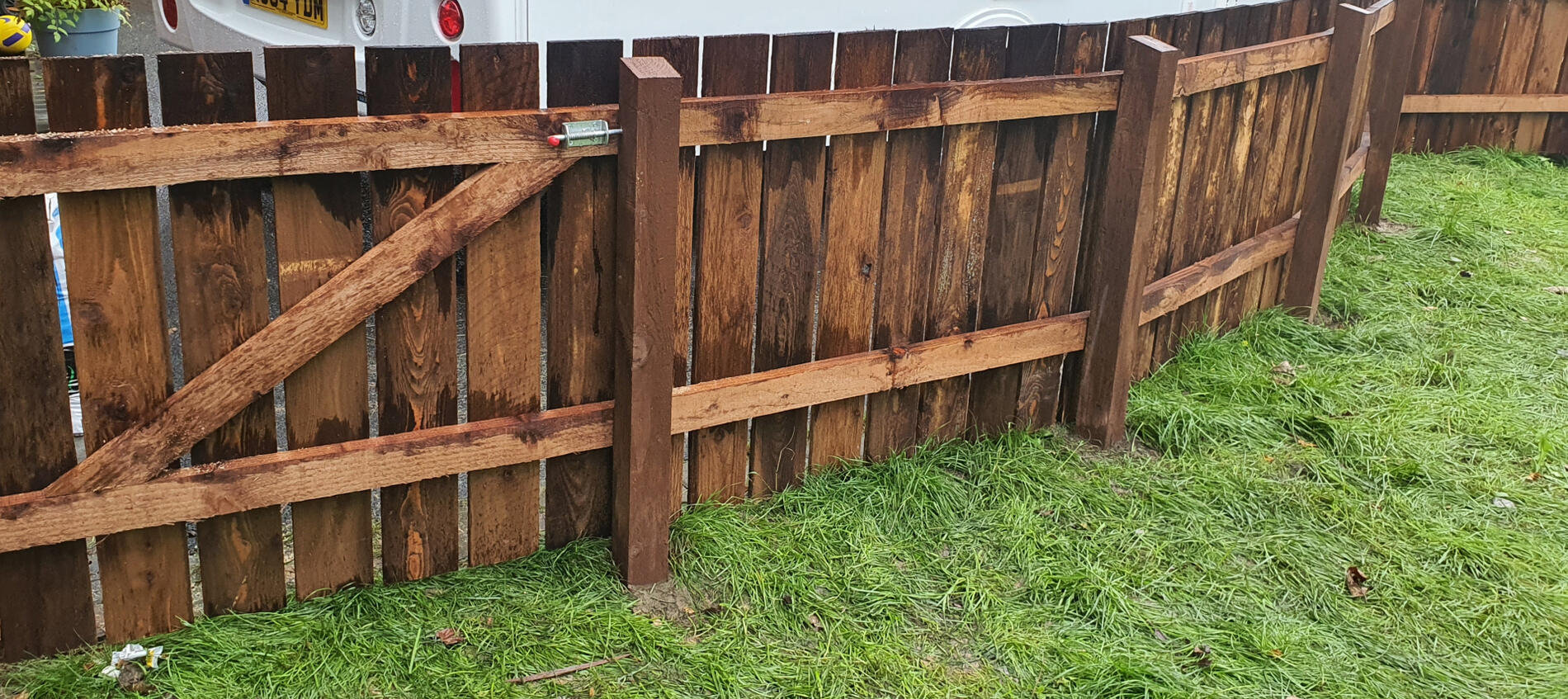 Treated timber fence